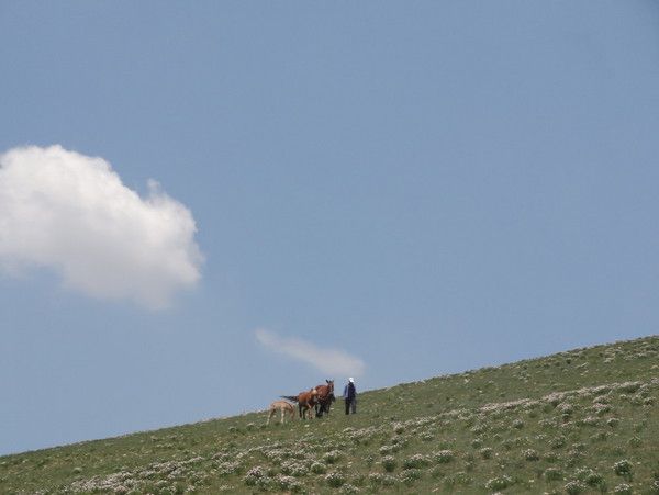 丰宁坝上景点图片