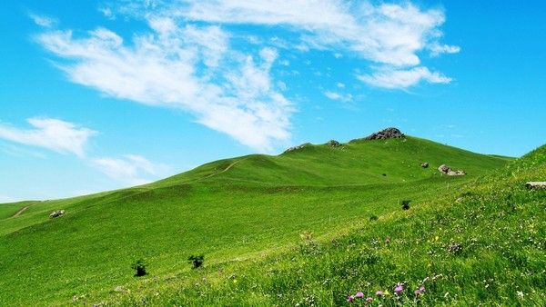 丰宁坝上自助游图片