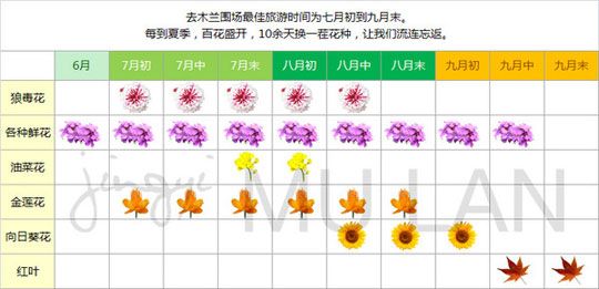 丰宁坝上景点图片