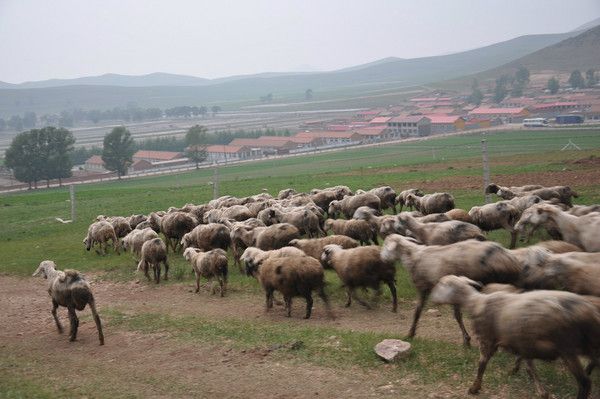 丰宁坝上旅游攻略图片