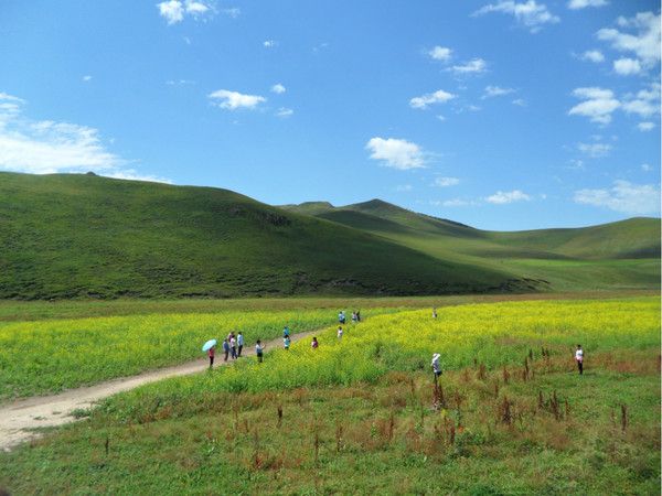 丰宁坝上旅游攻略图片