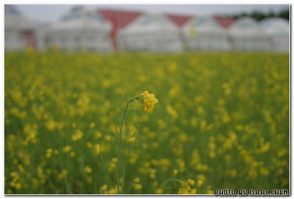 丰宁坝上旅游攻略图片