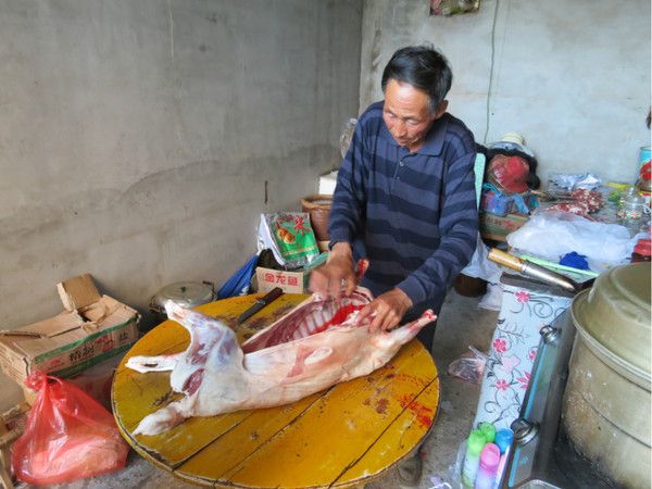 丰宁坝上图片