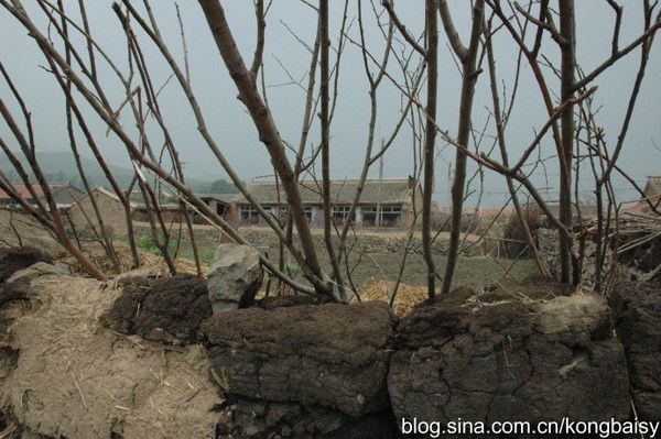 丰宁坝上自助游图片