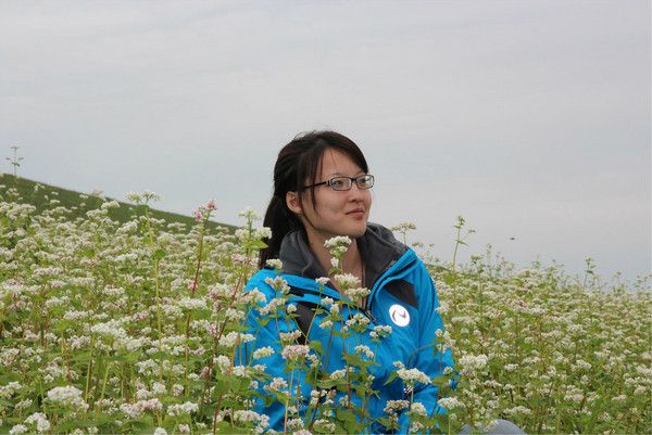 丰宁坝上自助游图片