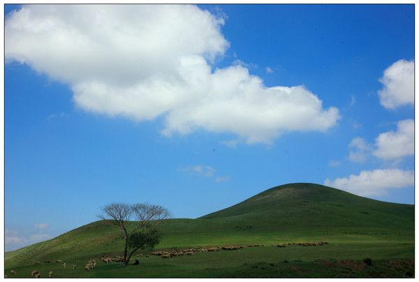 丰宁坝上旅游攻略图片