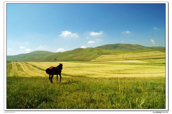 丰宁坝上景点图片