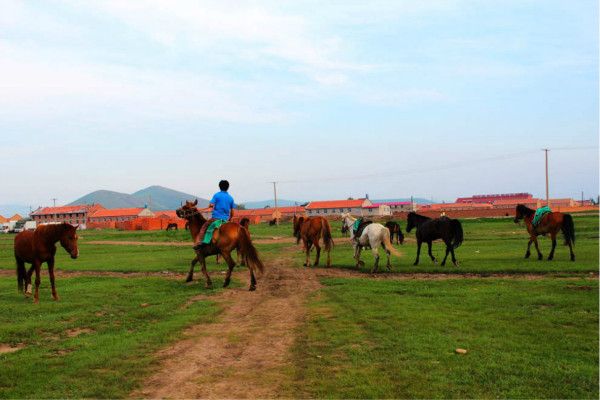 丰宁坝上旅游攻略图片