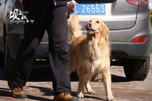 丰宁坝上自助游图片