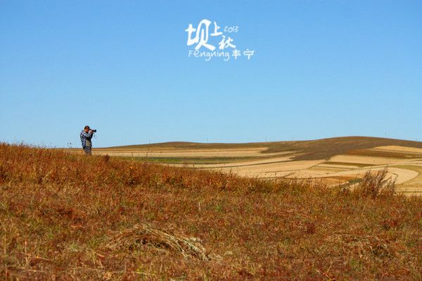 丰宁坝上景点图片