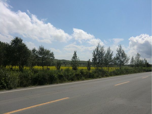 丰宁坝上景点图片