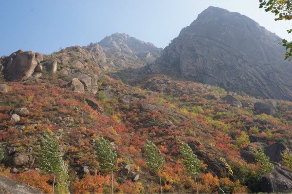 丰宁坝上图片