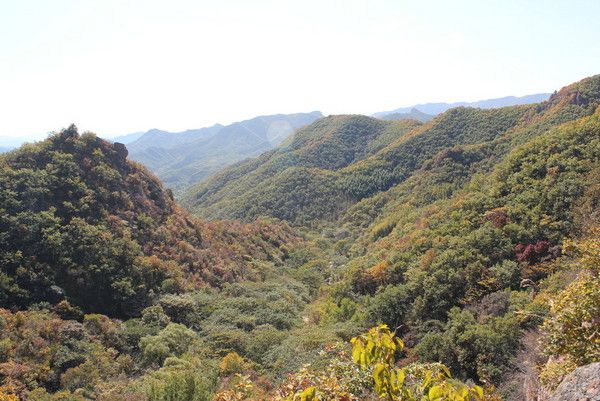 丰宁坝上图片