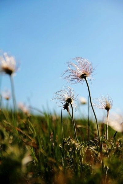 丰宁坝上景点图片
