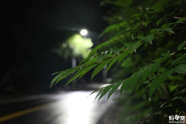 丰宁坝上景点图片