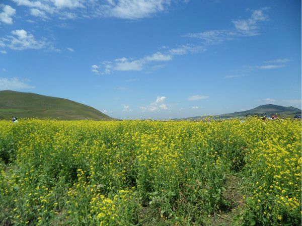 丰宁坝上景点图片