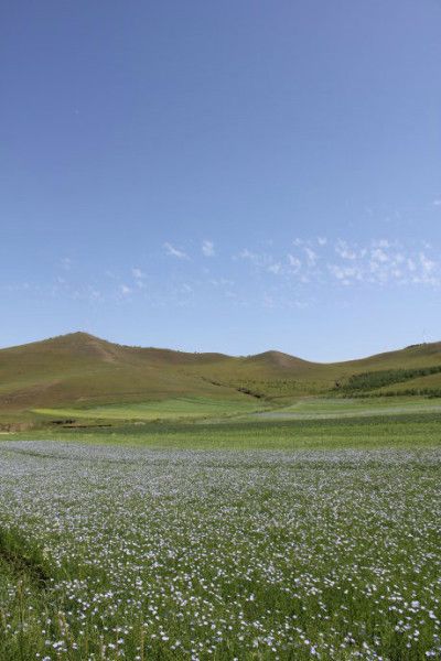 丰宁坝上旅游攻略图片