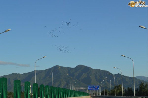 丰宁坝上图片