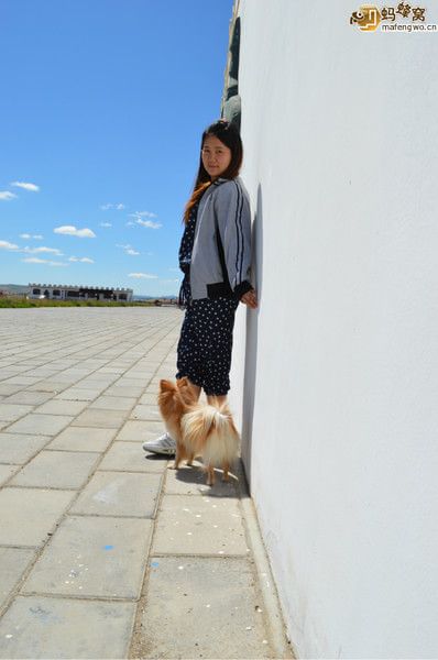 丰宁坝上自助游图片