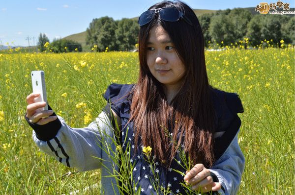丰宁坝上图片