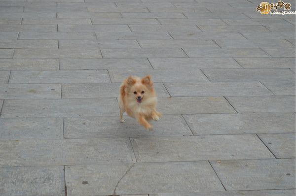 丰宁坝上自助游图片