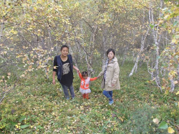 丰宁坝上自助游图片