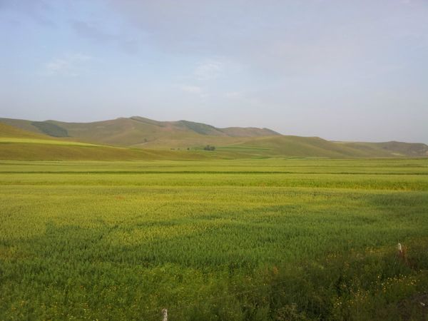 丰宁坝上旅游攻略图片