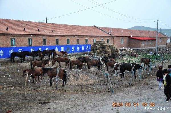 丰宁坝上自助游图片