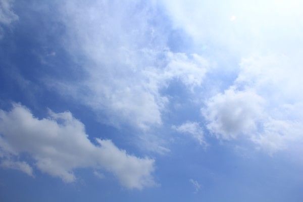 6月丰宁坝上草原之行