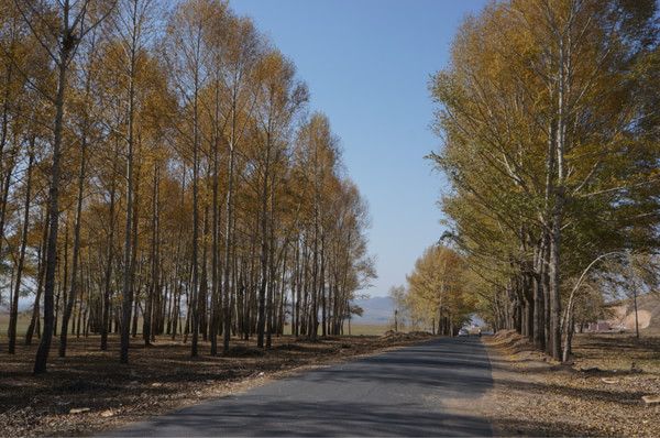 两辆自行车 两个人的坝上国庆骑行记