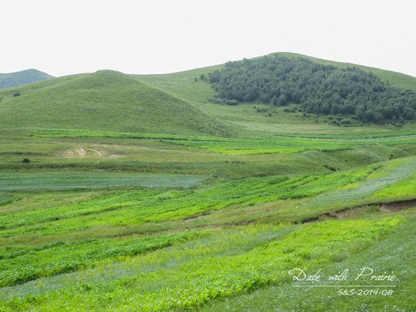 【丰宁坝上】七夕 我和草原有个约会