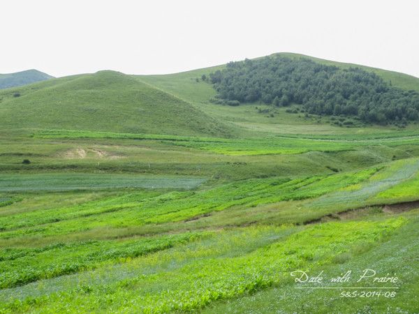 【丰宁坝上】七夕 我和草原有个约会