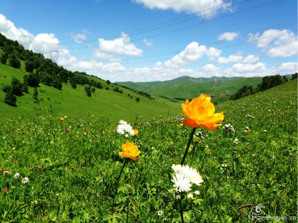 居庸关长城 张家口 草原天路 滦河神韵 坝上行