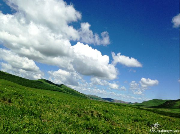 居庸关长城 张家口 草原天路 滦河神韵 坝上行