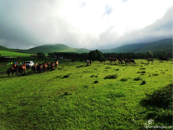 居庸关长城 张家口 草原天路 滦河神韵 坝上行