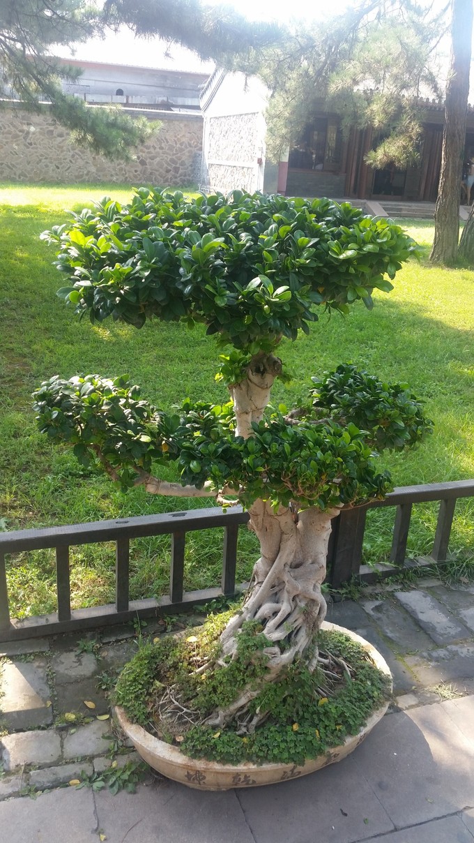 丰宁草原 承德避暑山庄 古水北镇两日游