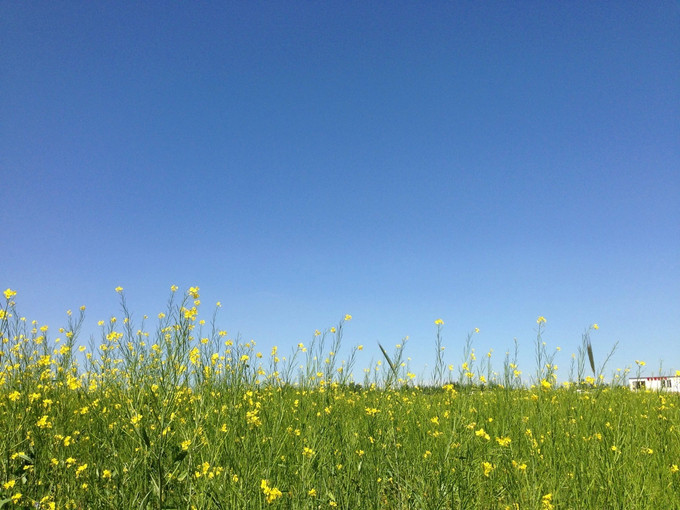 丰宁坝上草原自驾三日游