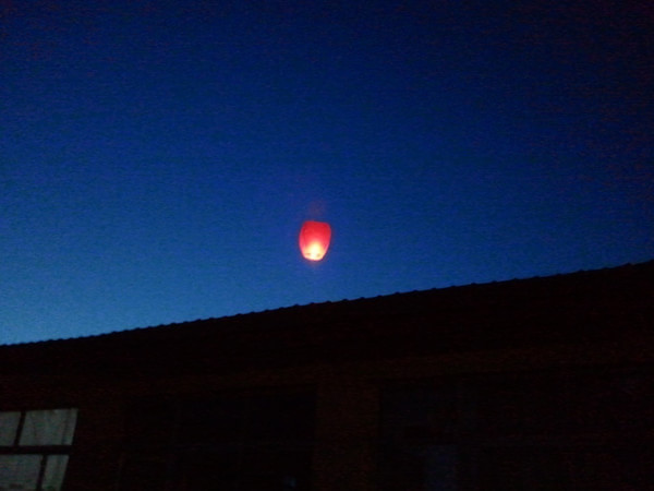 被风吹过的夏天在坝上