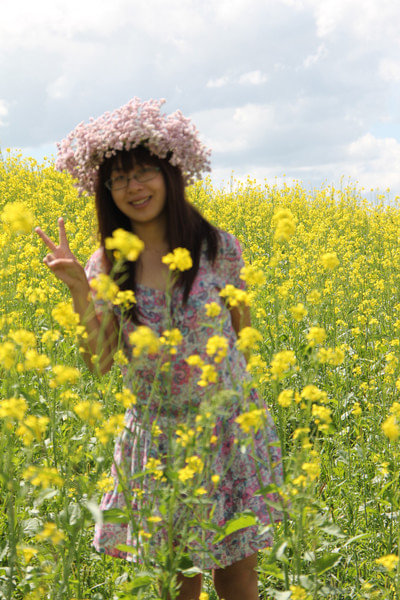 被风吹过的夏天在坝上