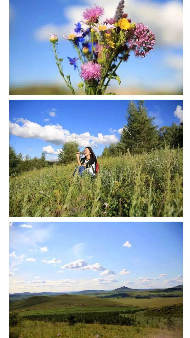 坝上草原的初夏，更像万物复苏的春天