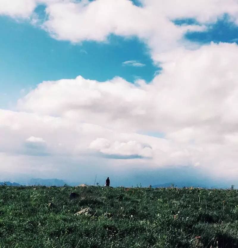 坝上草原的初夏，更像万物复苏的春天