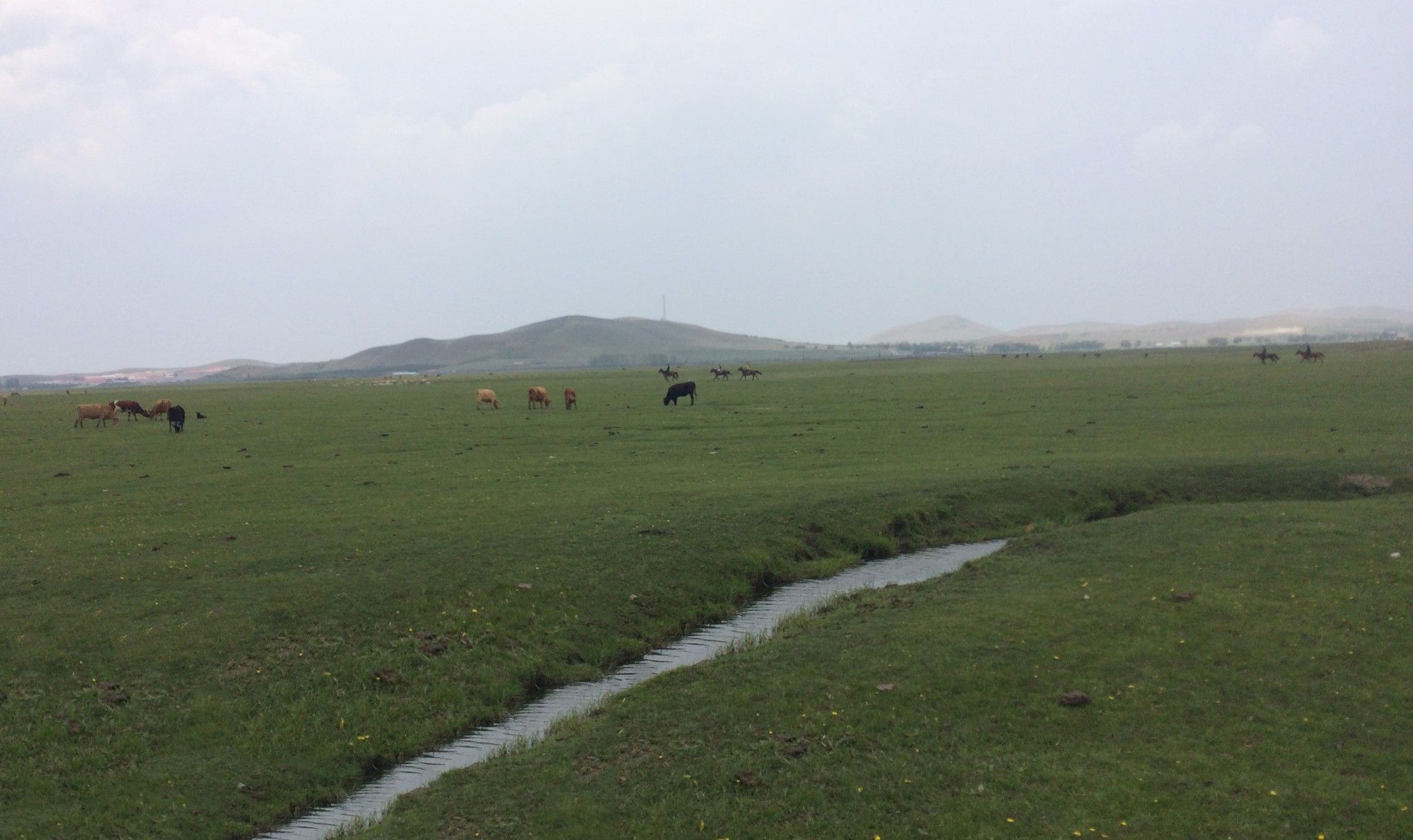 风沙、闪电、暴雨、美景、美食、美酒—丰宁坝上草原