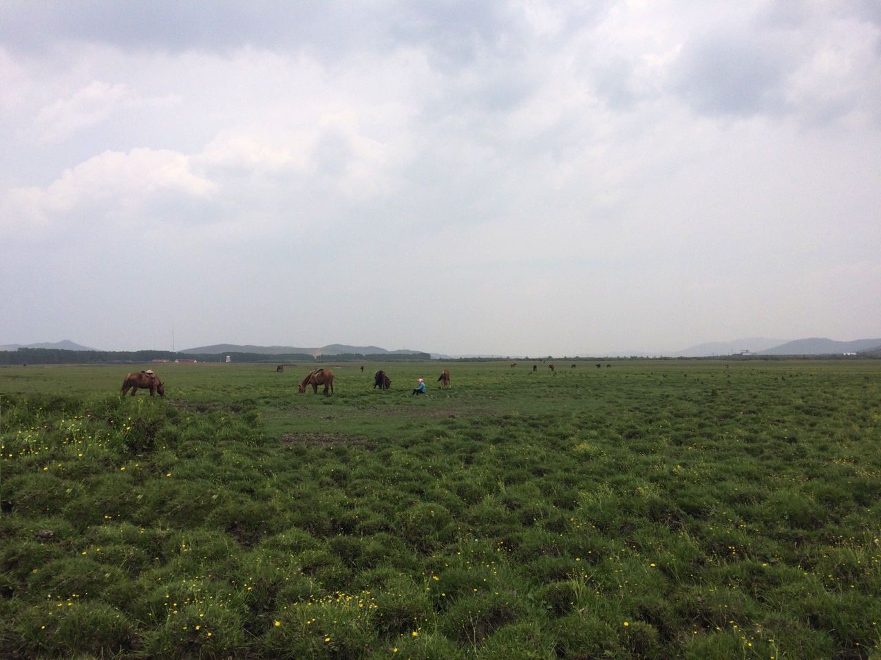 风沙、闪电、暴雨、美景、美食、美酒—丰宁坝上草原