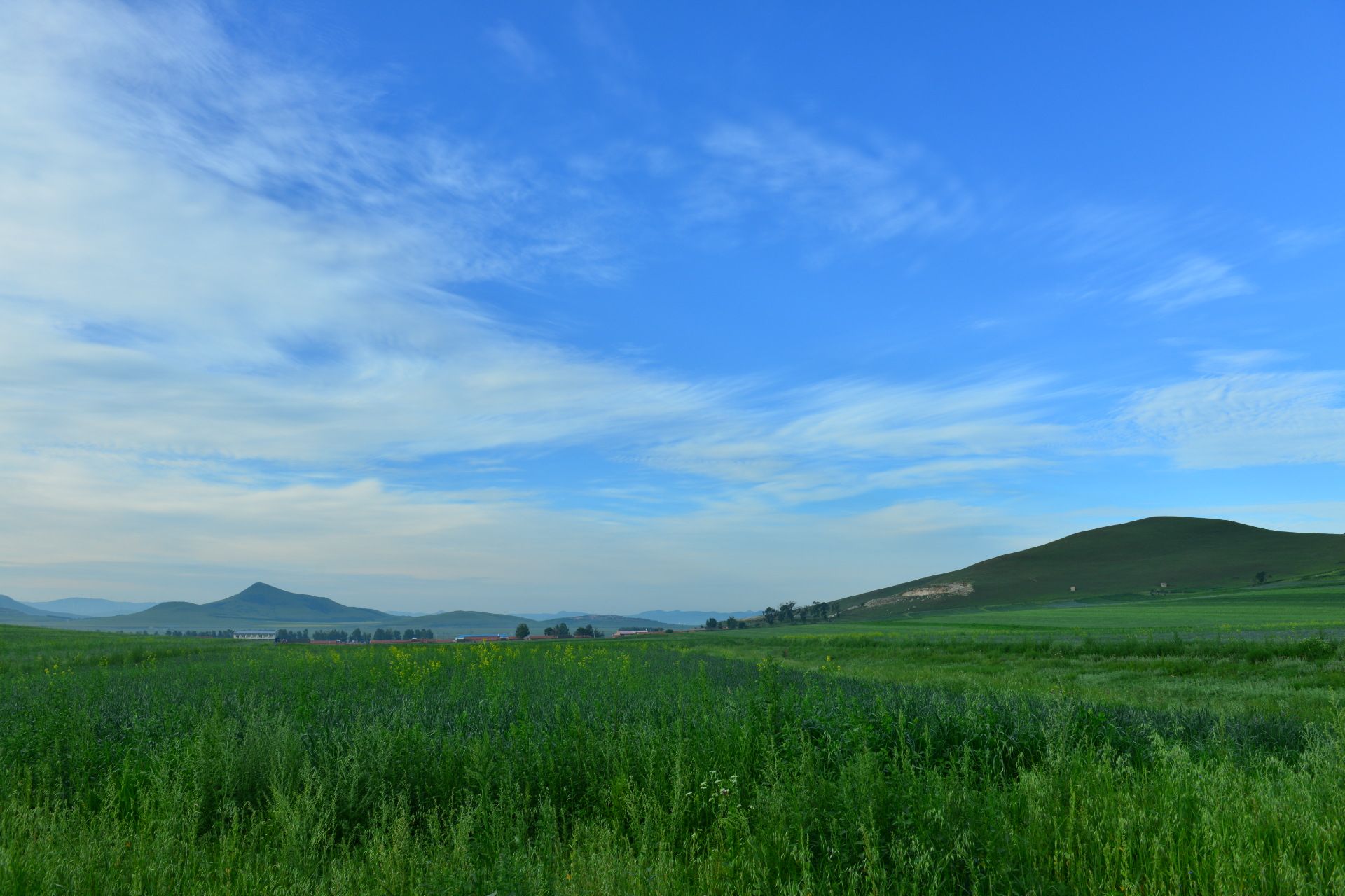 丰宁坝上草原二日游-避暑-休闲-远足-自驾-美景