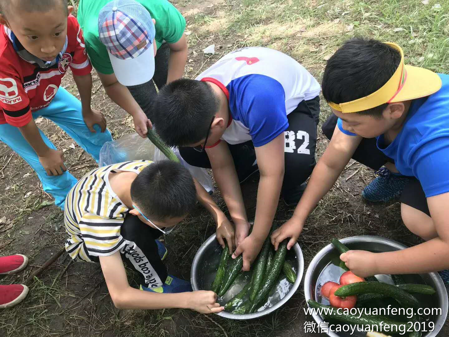 晋极武道馆草原夏令营