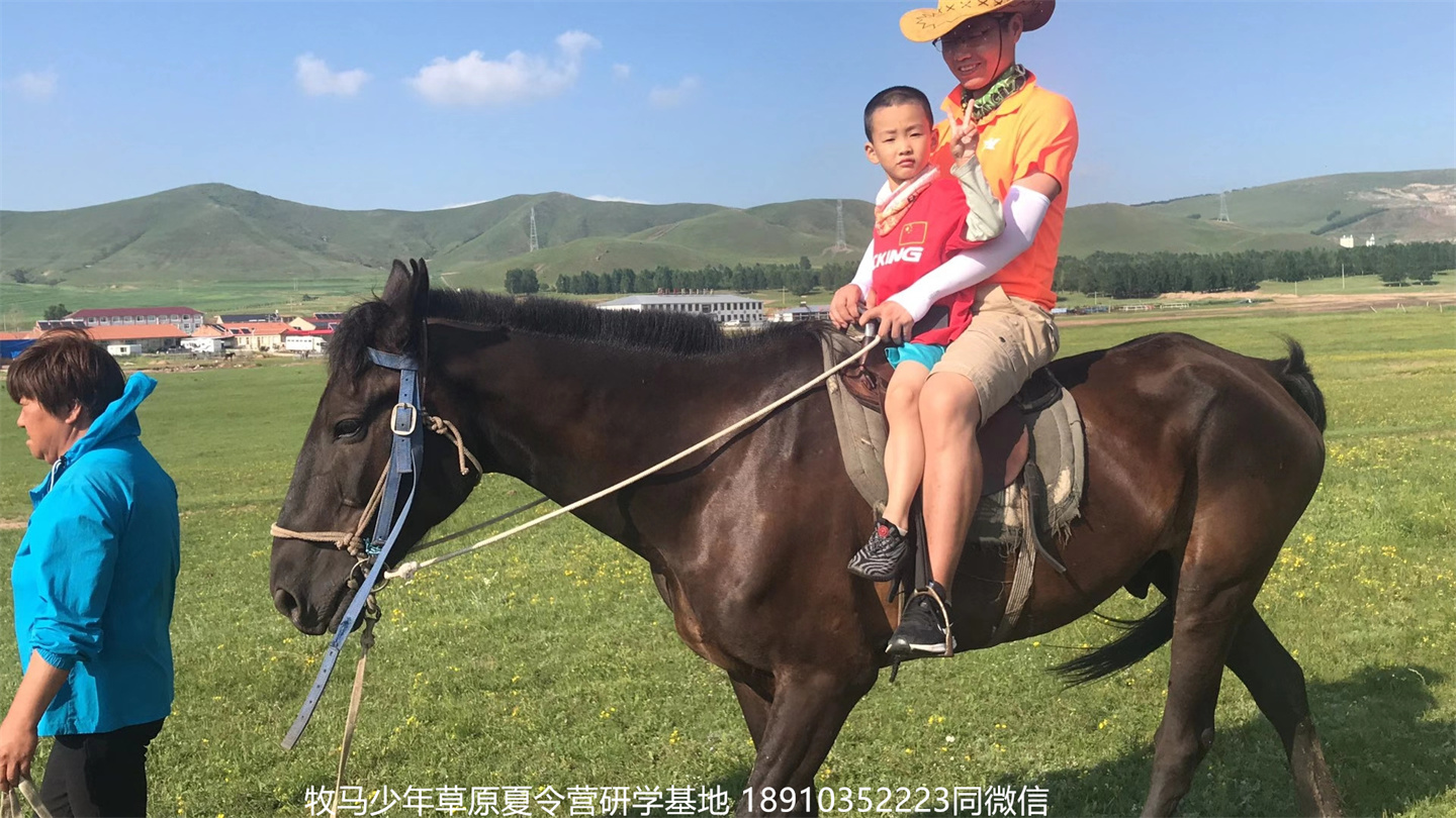 晋极武道馆 松柏武道馆草原研学夏令营