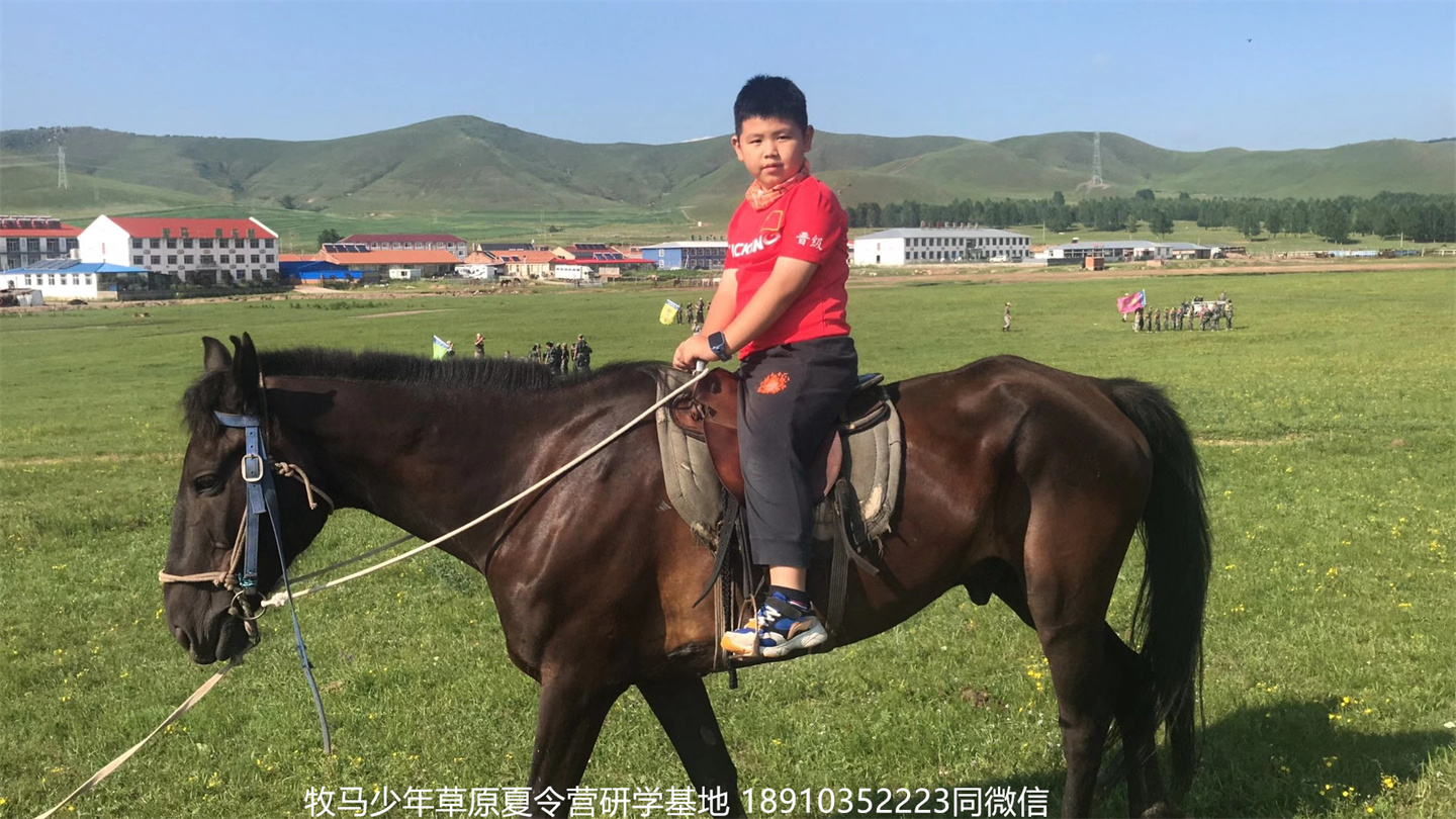 晋极武道馆 松柏武道馆草原研学夏令营