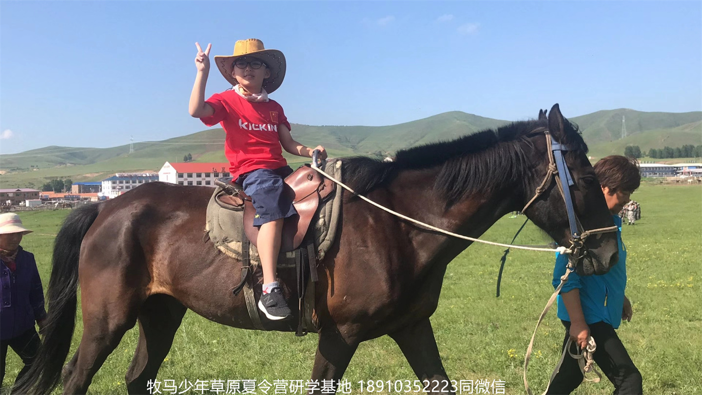 晋极武道馆 松柏武道馆草原研学夏令营