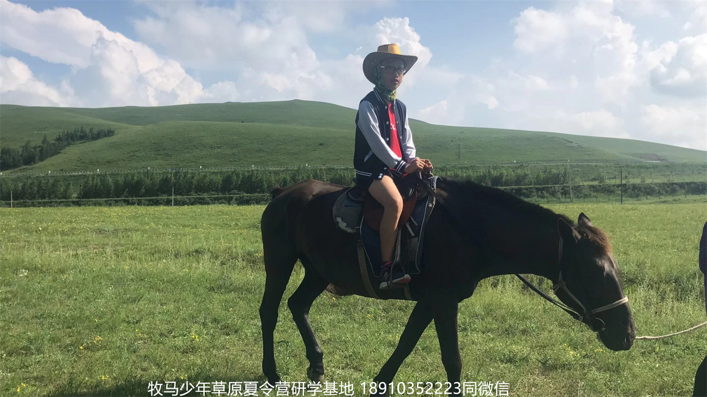 晋极武道馆 松柏武道馆草原研学夏令营