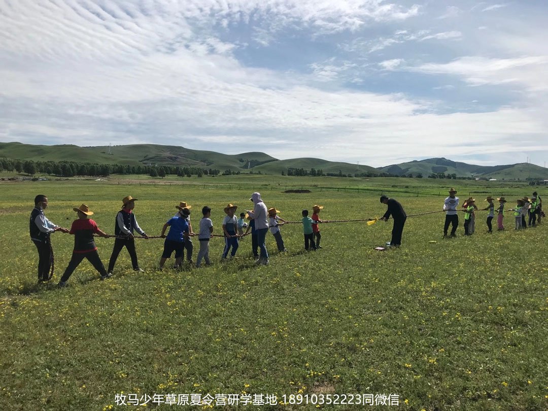 晋极武道馆 松柏武道馆草原研学夏令营